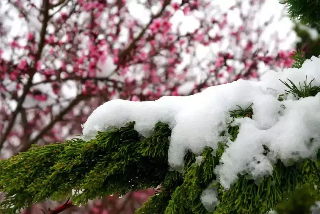 北风那个吹白毛女原唱,北风那个吹电视剧全集