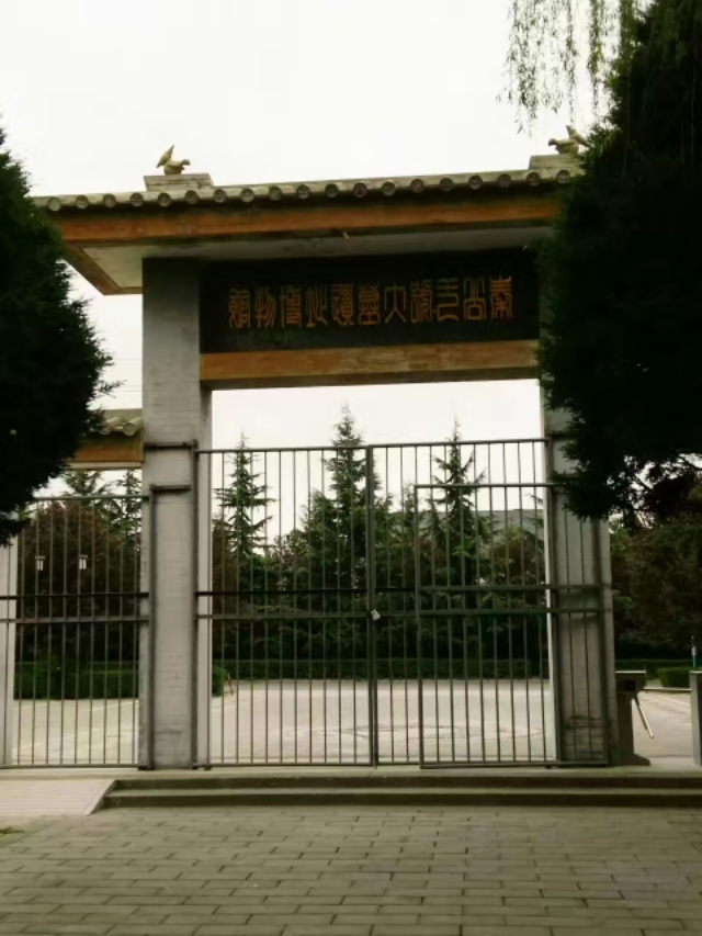 凤翔县城全景,印象凤翔