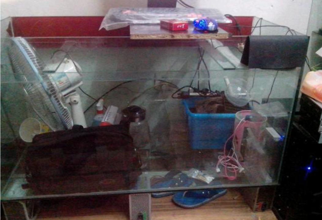 新手养金鱼多大的鱼缸最合适,养金鱼的鱼缸需要什么配置