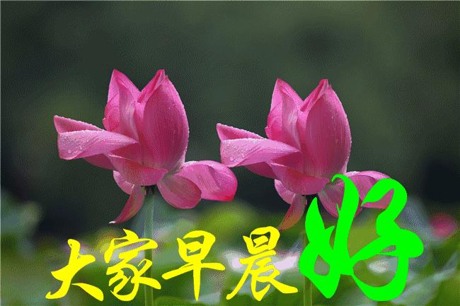 周一早安问候语表情,周一早上好问候语表情