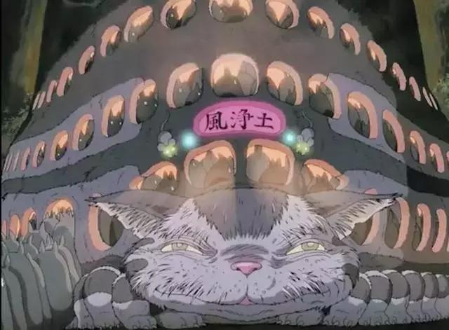 龙猫最久能活多久,龙猫30秒