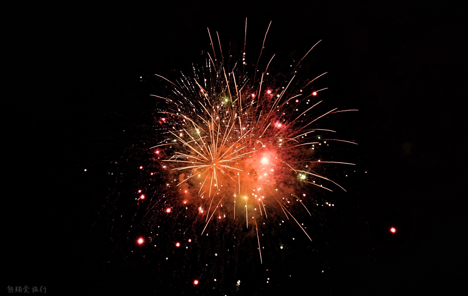 日本金箔冰淇淋金泽,日本金泽金箔雪糕