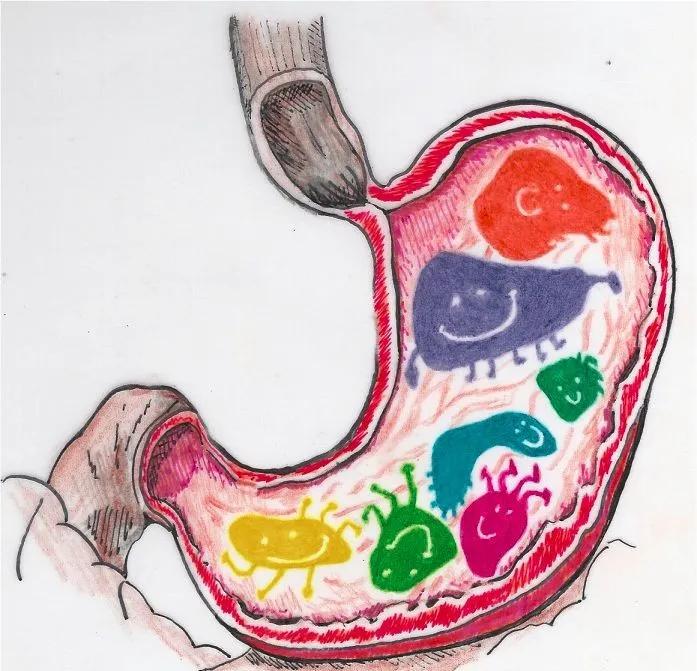 如何正确的选择益生菌,如何选择益生菌才是最好的