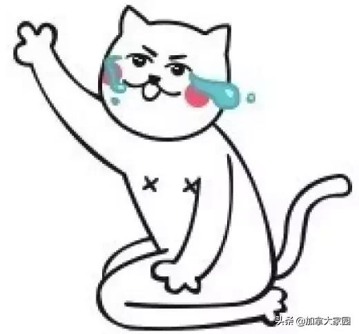 从中国寄包裹到加拿大,寄往加拿大的包裹收不到如何查询