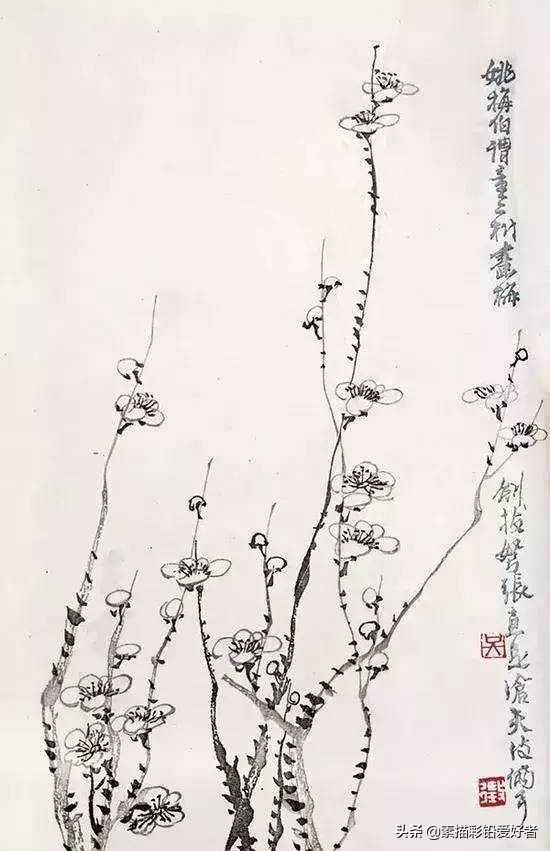 写给鲁迅的先生的一封信,高级的信