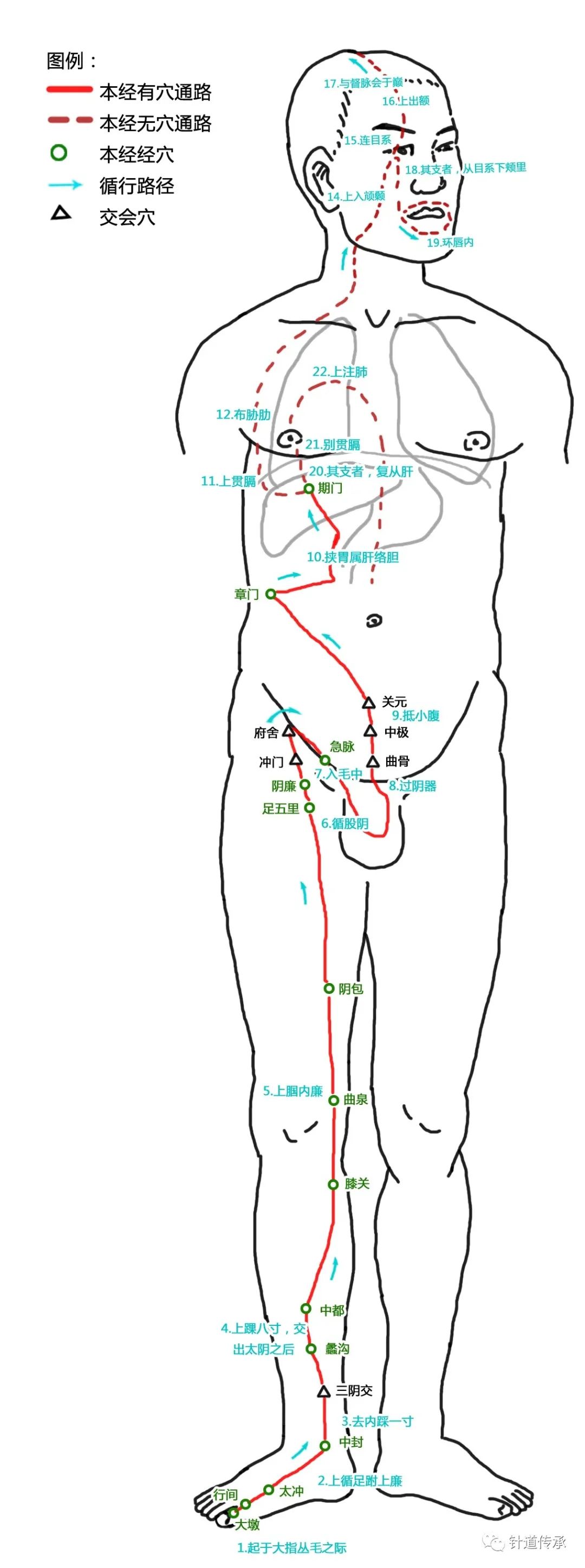十二经络穴位好难背,十二经脉太难记