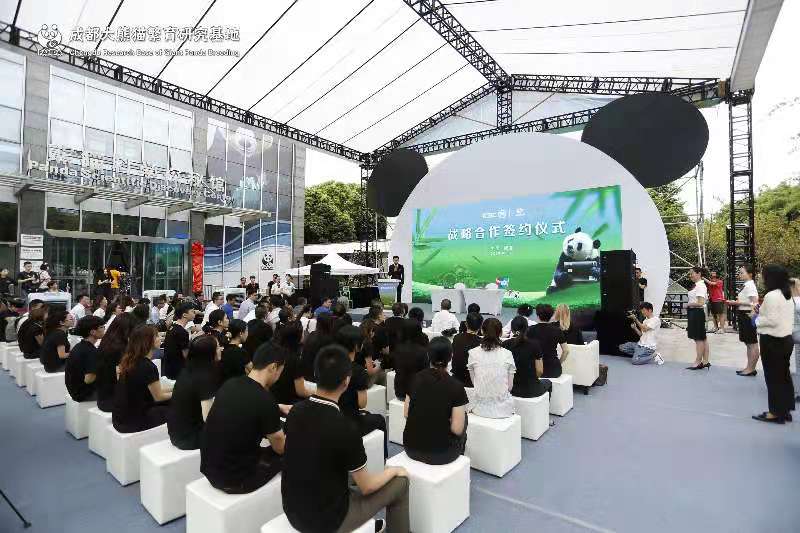 揣着熊猫看世界——成都大熊猫基地与中国工商银行联合推出四川省首张熊猫系列信用卡