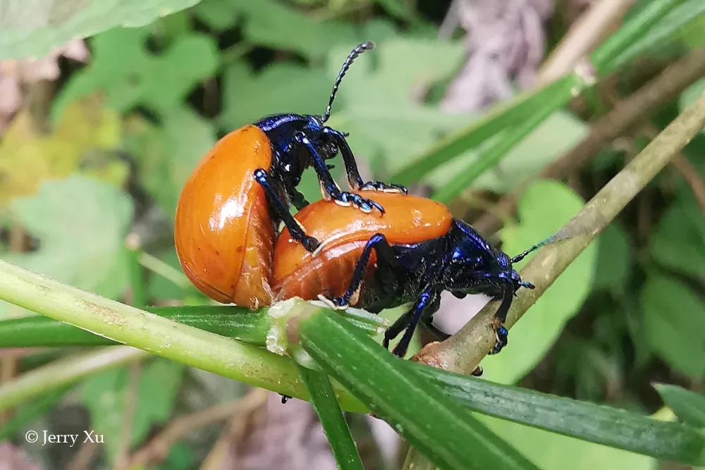 情人节，就该和爱的人*爱做**做的事