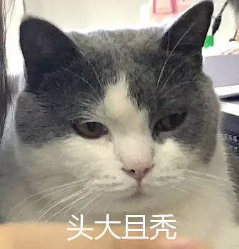 本科论文题目太难实在写不出论文,毕业论文常见问题大全