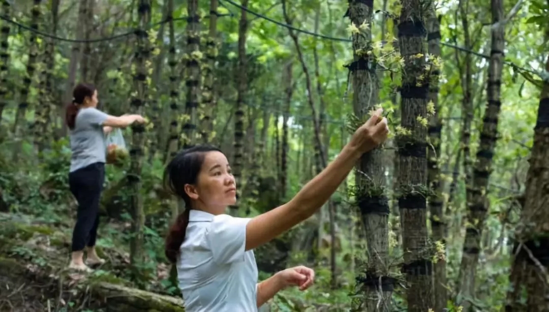 若你向往世外桃源，这个双旦来黔东南绝不后悔