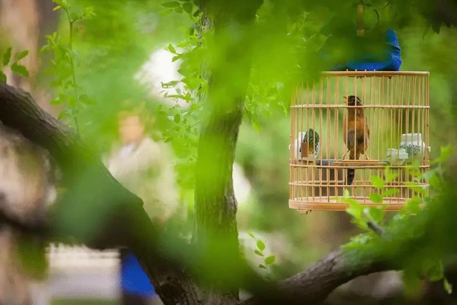 领奖的心情变化,领奖的时候都特别顺利