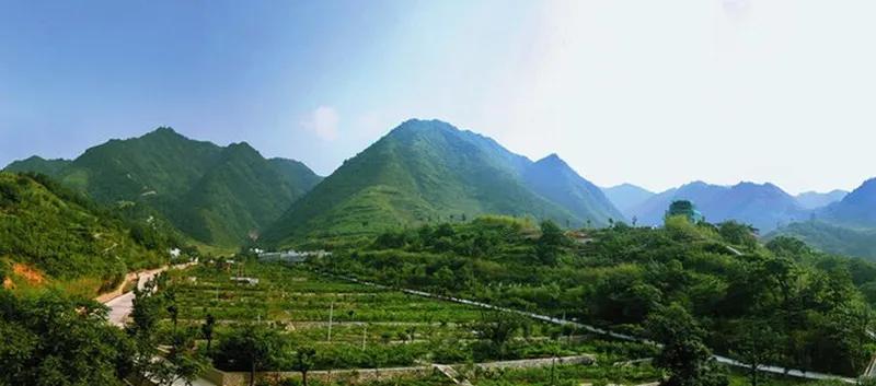 丹凤十大特产美食,丹凤县特产都有什么