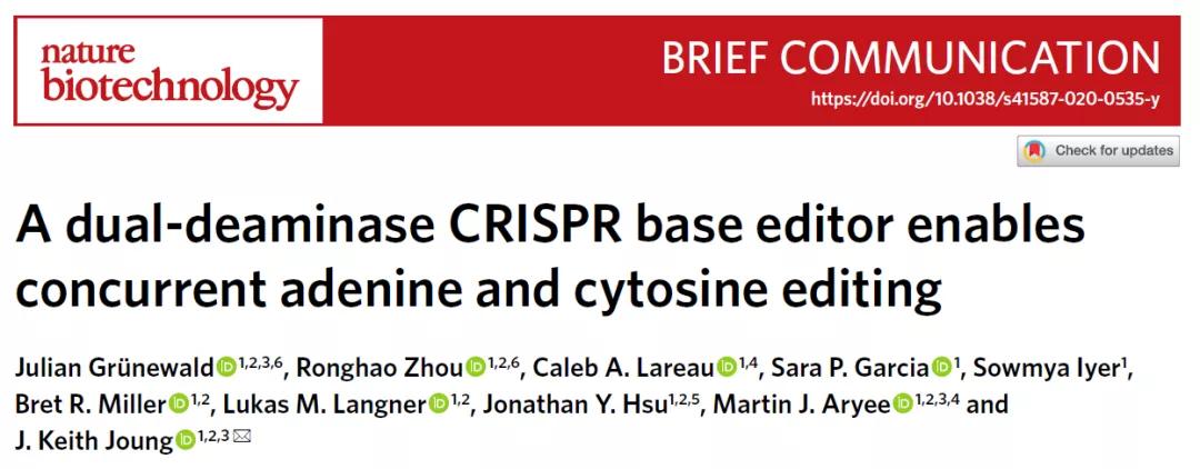 人类首次通过基因编辑攻克隐性遗传病！用单碱基编辑治愈耳聋小鼠