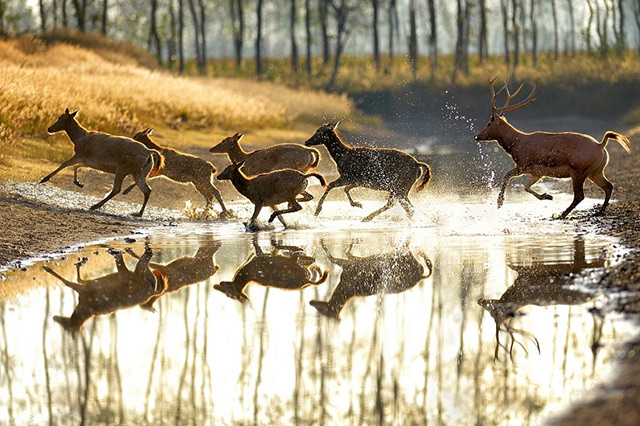 江苏旅游景点推荐亲子游,江苏适合亲子游的地方