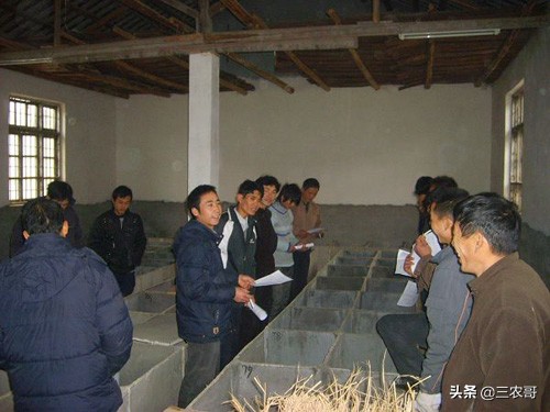 农村小投资创业项目推荐,创业小项目农村小本创业门路推荐