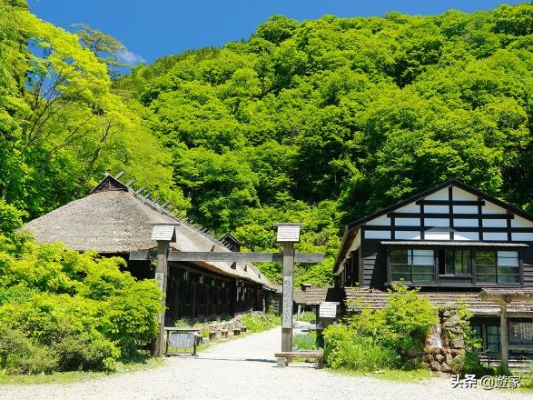 日本冬天滑雪去哪里,日本东北深山隐藏的秘密