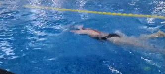 游泳腰髋如何发力,游泳腰腹发力正确方法