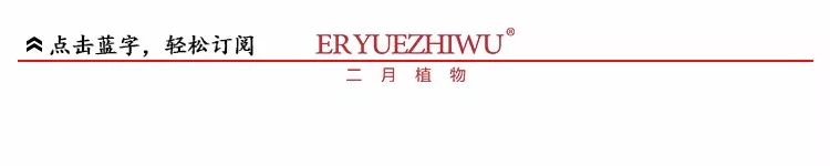 水润季面膜孕妇可以用吗,玫瑰透亮保湿面膜孕妇能用吗