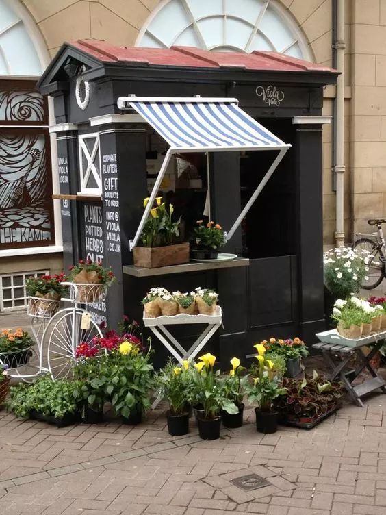 开花店经验100例,开花店真实经验