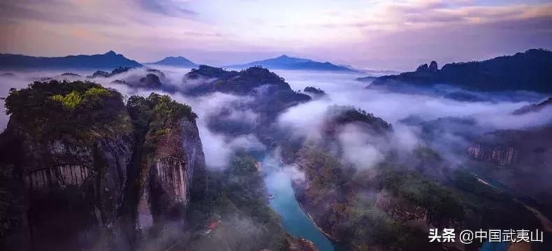 魅力中国城武夷山制茶师,魅力中国城武夷山