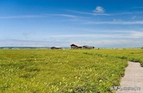 趁着春光出游海南,趁着春光明媚去旅行