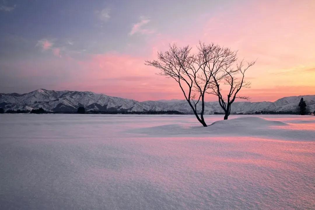 第二届中国摄影作品展,每周摄影作品展第二期
