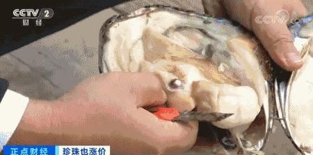 珍珠价格连续三年上涨视频,珍珠价格上涨的原因视频