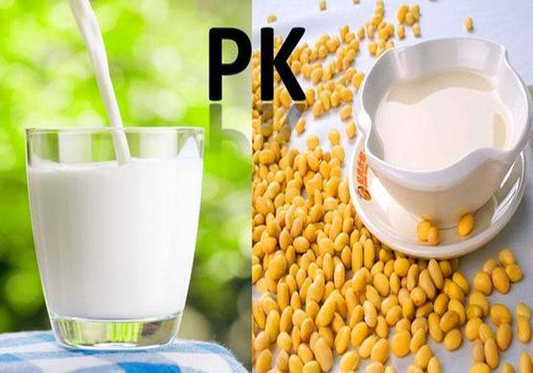 一次性喝太多牛奶会发生什么？关于喝牛奶，还有哪些谣言？