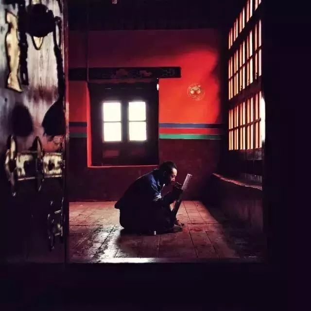 极地大型纪录片,纪录片极地生灵