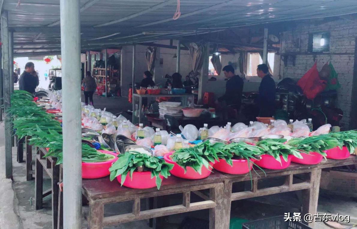 九龙生态园,九龙生态农业园景点