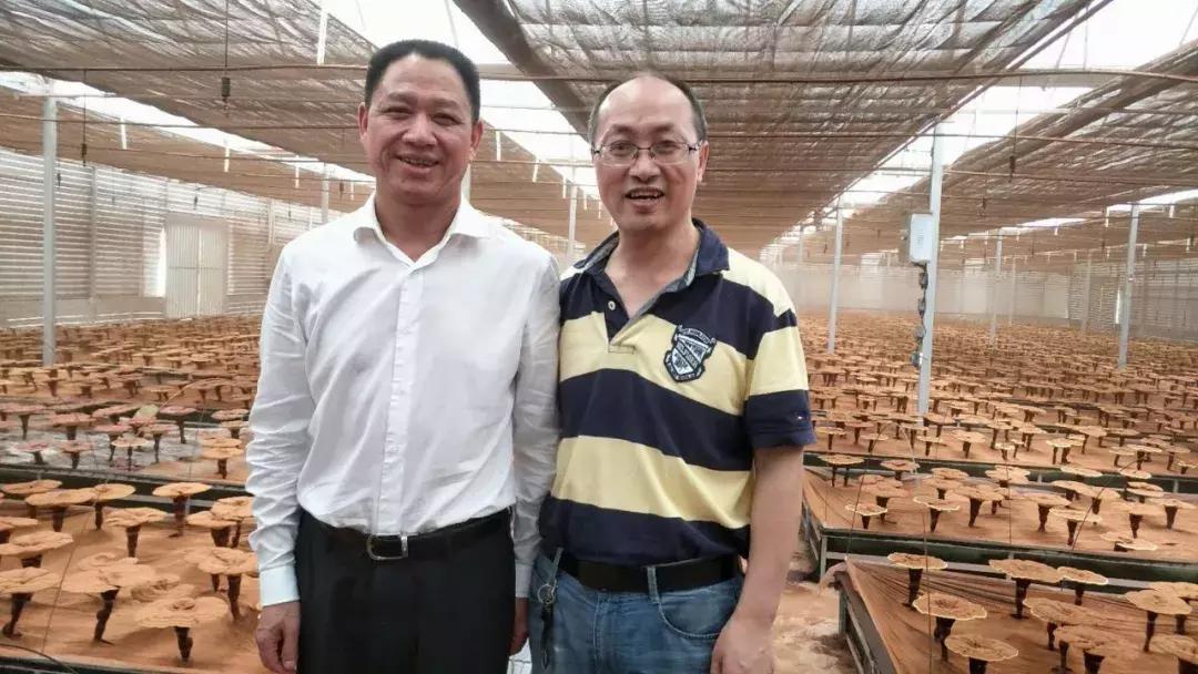 2022年寿仙谷杯省运会,寿仙谷比赛