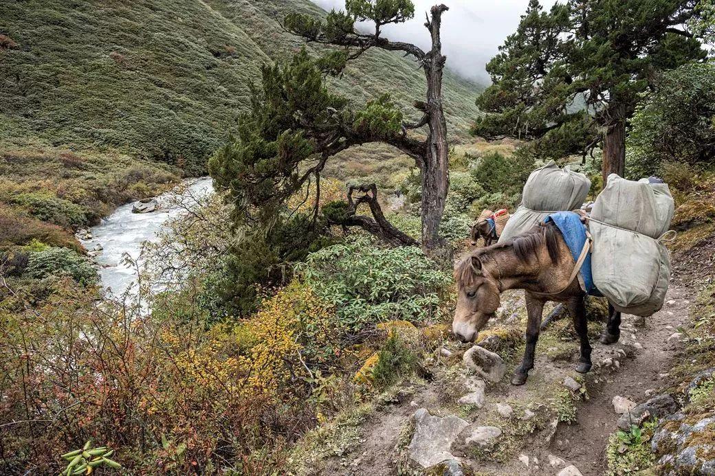 全球最难走的路,北京难度低的登山步道