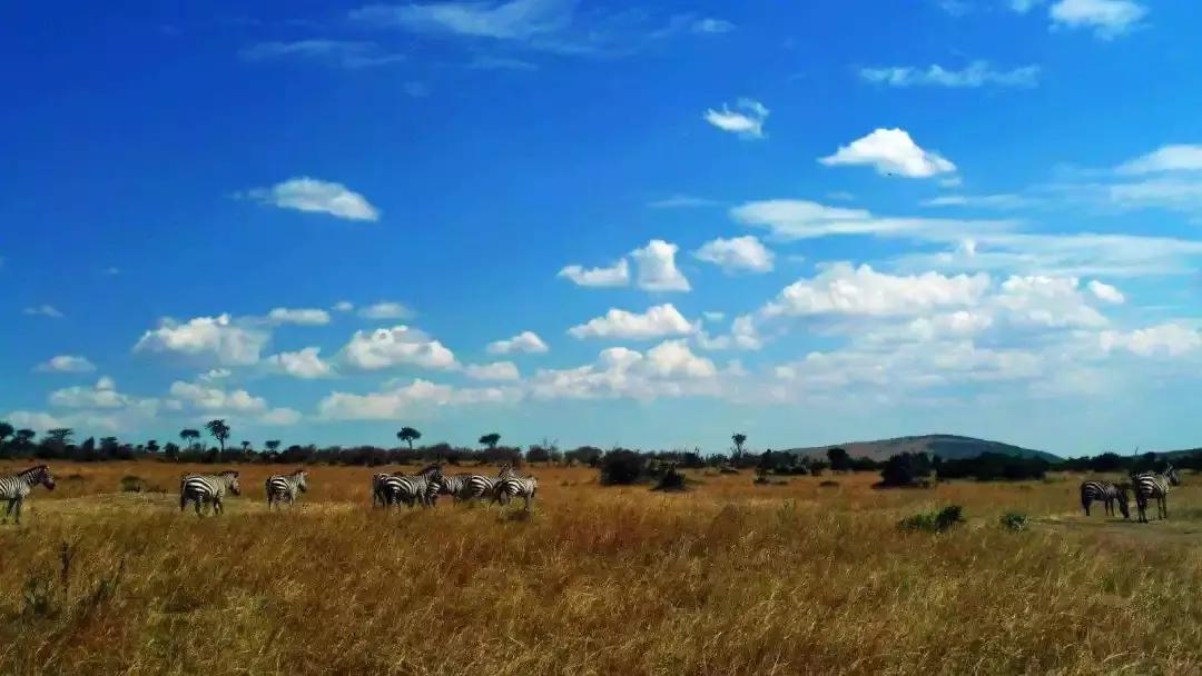 西安有直飞加拿大航线,西安直飞免签海岛