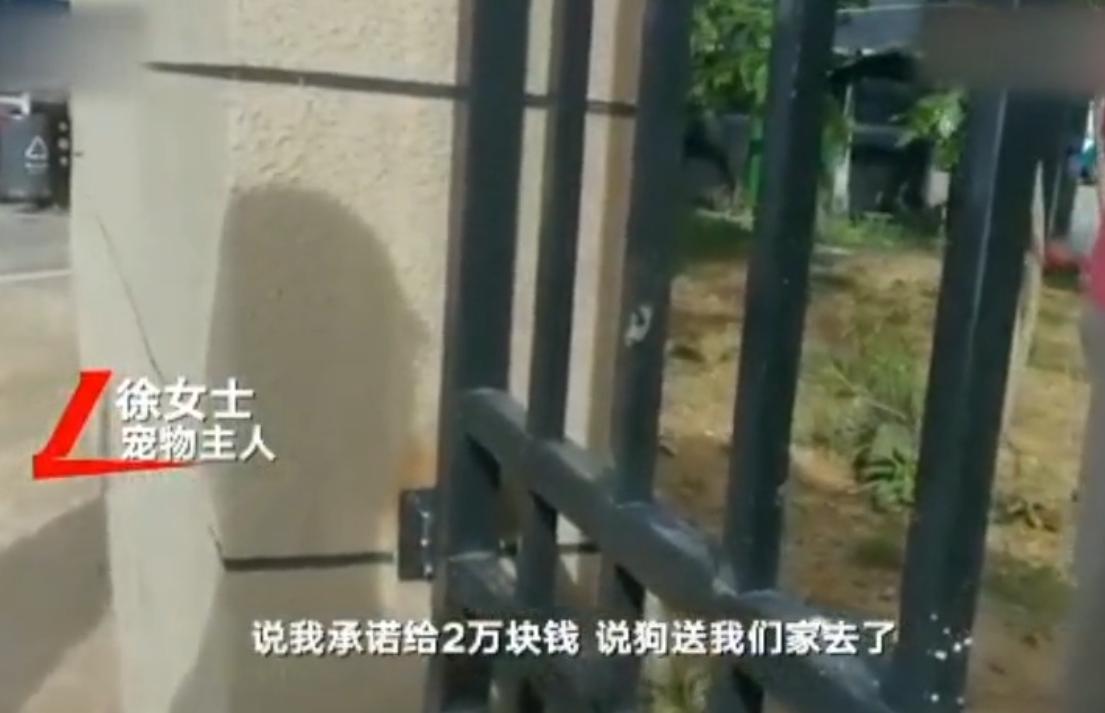 “寻狗赠房”系打印错误？北京寻狗赠房狗主人回应：因天黑没看就贴了，半夜接到三百个电话