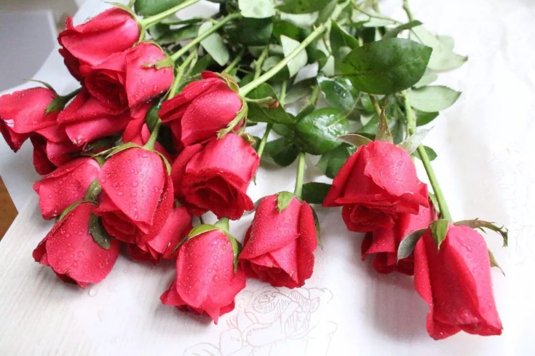 世界各国国花国树大全,世界地图及各国国花