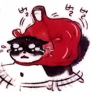 训练猫时可以给猫吃什么,训练猫捕食