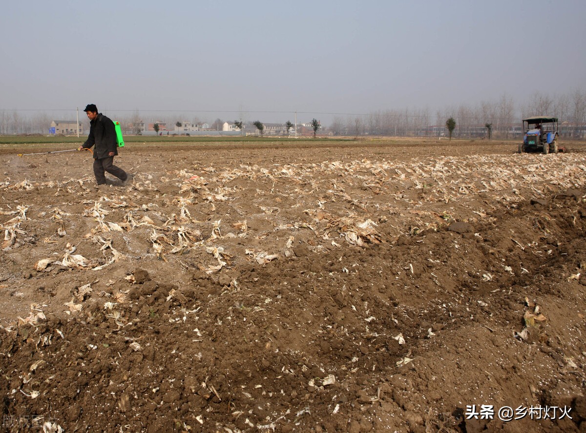 土壤杀菌消毒用生石灰还是熟石灰,花盆土壤消毒杀菌的最好方法