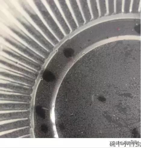 现在的杨梅有虫怎么吃法,杨梅虫子怎么吃