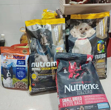 家有狗子,家有狗子视频完整版