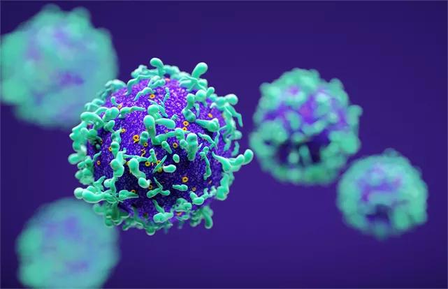 hpv感染和脚气有关吗,hpv感染和哪些肿瘤有关