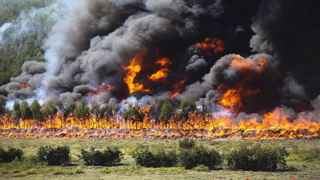 世界上有哪些神奇的闪电,自然界的黑色闪电