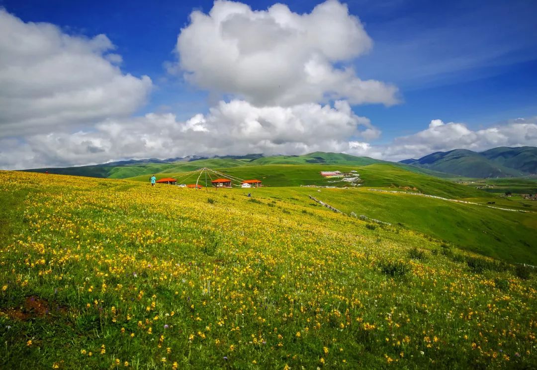 情歌故乡，格萨尔王故里，不去*藏西**就去梦中的香巴拉
