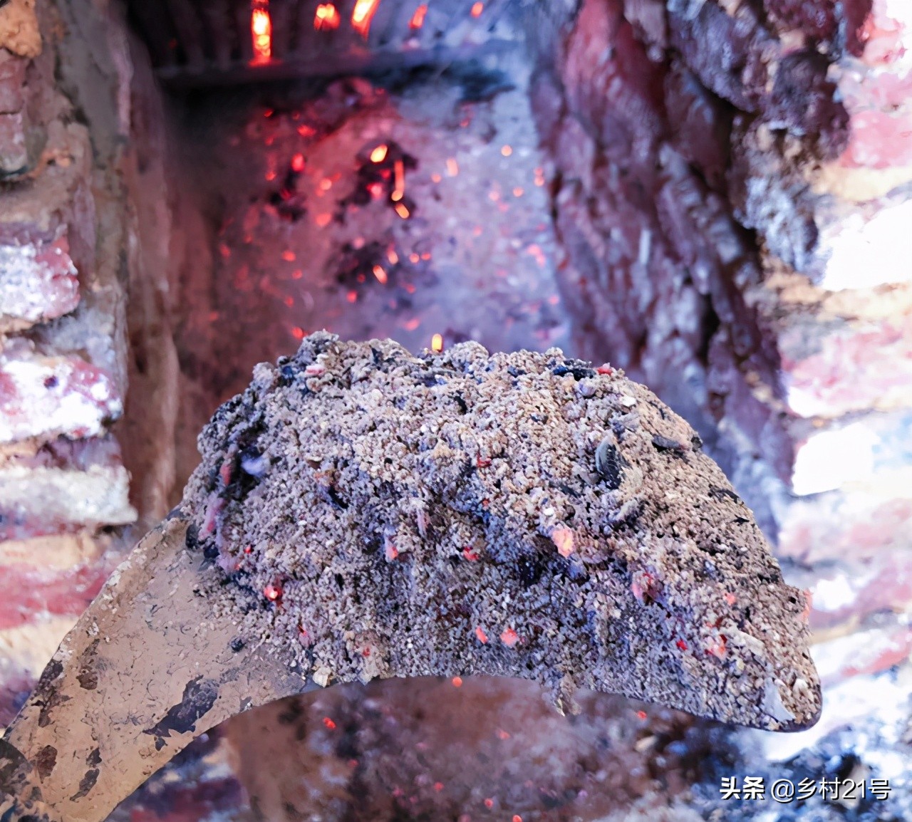 蔬菜上的菜青虫怎么防治,蔬菜招虫子怎么办