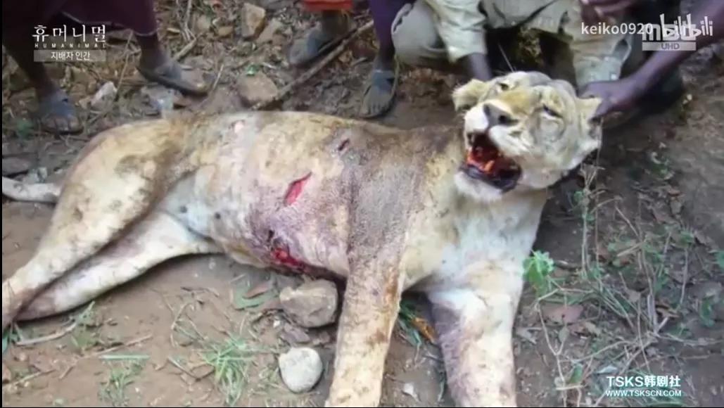 15岁怀孕的她，被骗吃下*药炸**，无辜去世：生而为人，有些人却不配