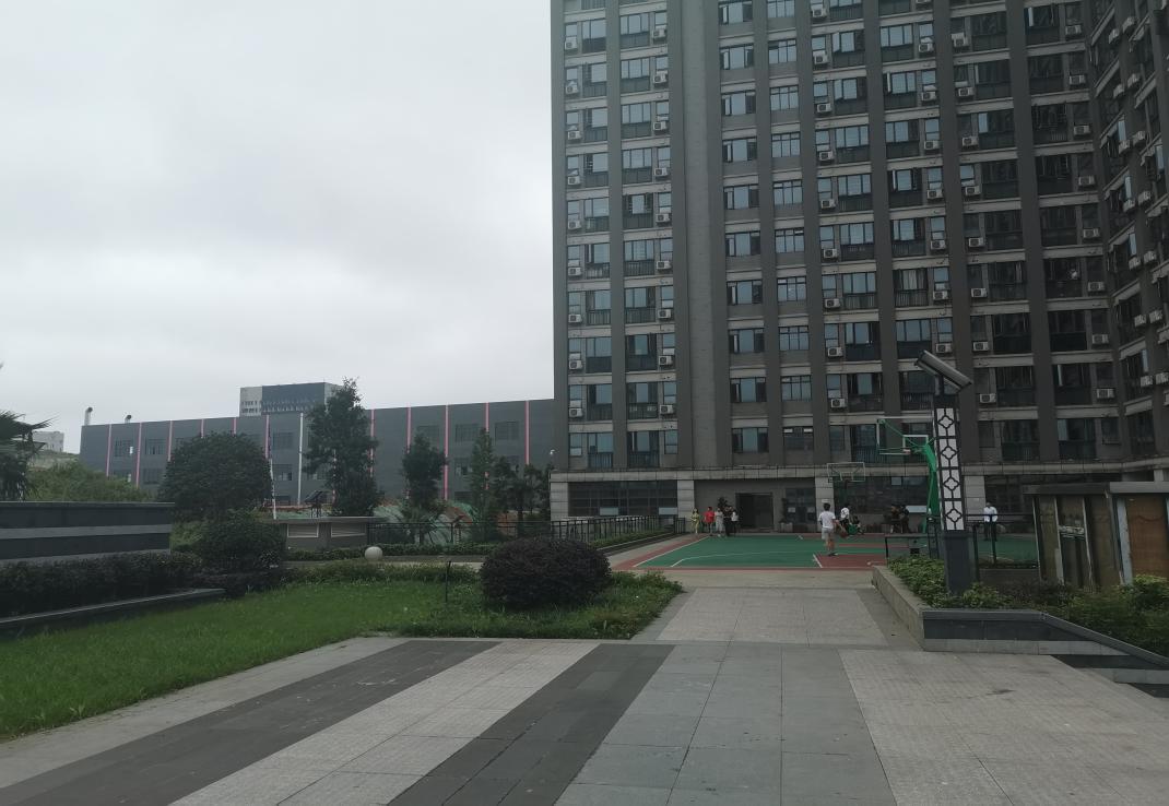 湖南单招设计专业好的学校,湖南初中学历提升热门专业