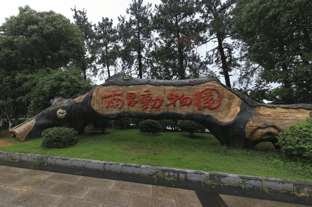 南昌亲子旅游景点推荐自驾游,南昌适合亲子旅游的地方