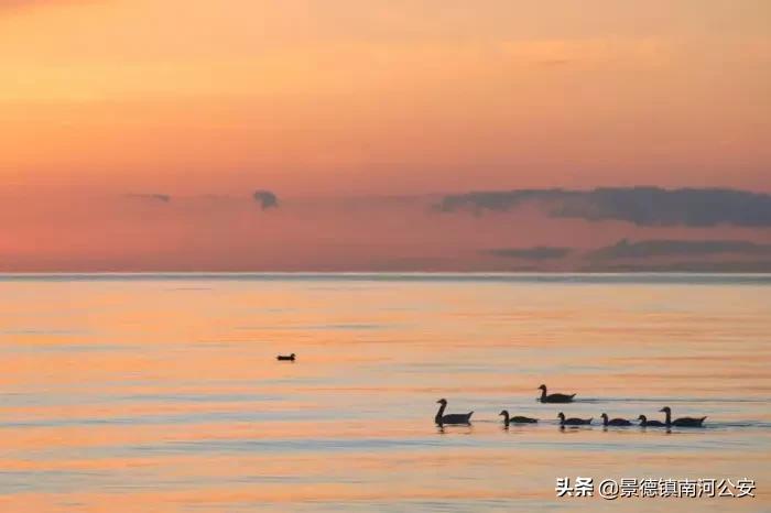 写人生逆境的古诗词,表达逆境激励的长诗词