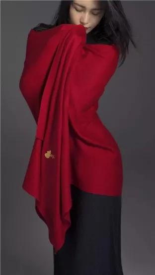 陈漫旗下品牌有哪些商标,陈漫代言铂爵