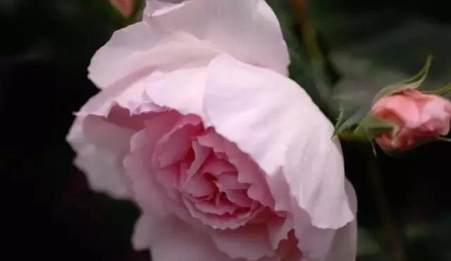 每天学习一点点女性小常识,每天学习一点点科普一下