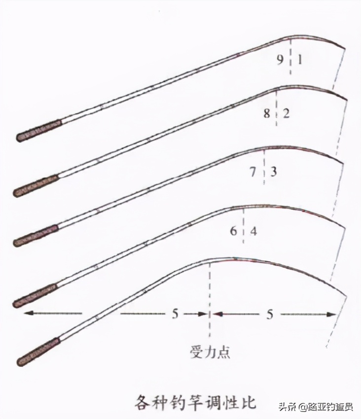 路亚竿怎么看参数搭配,钓大鱼新手路亚竿如何选择